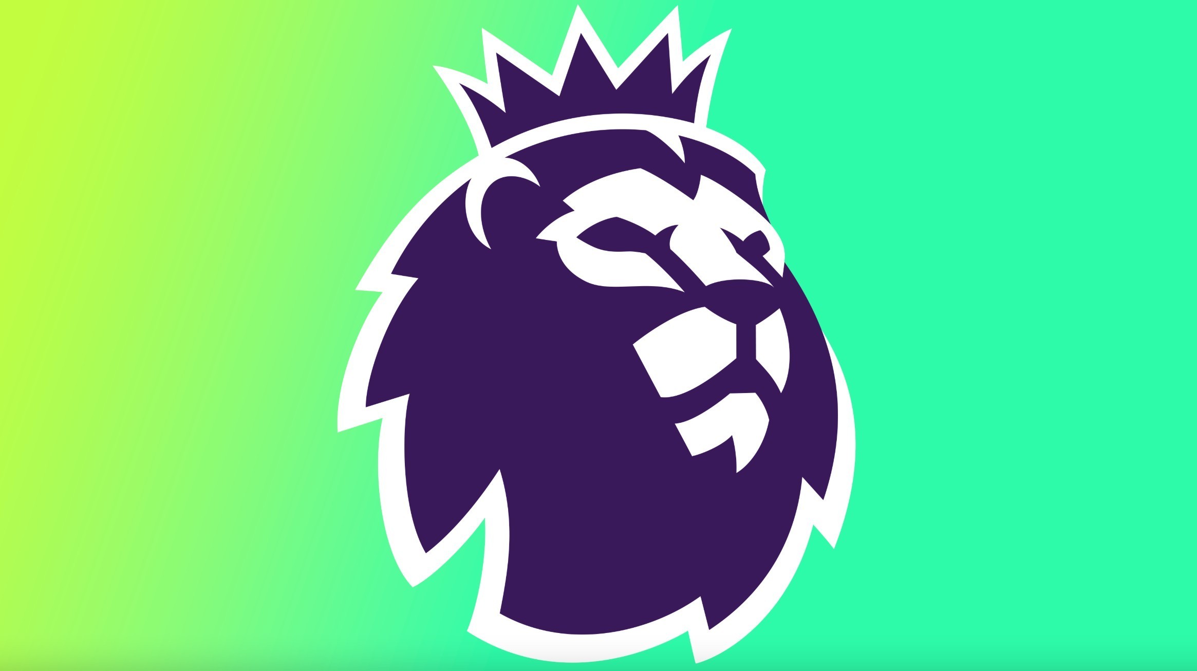 并及时作出 并及时作出