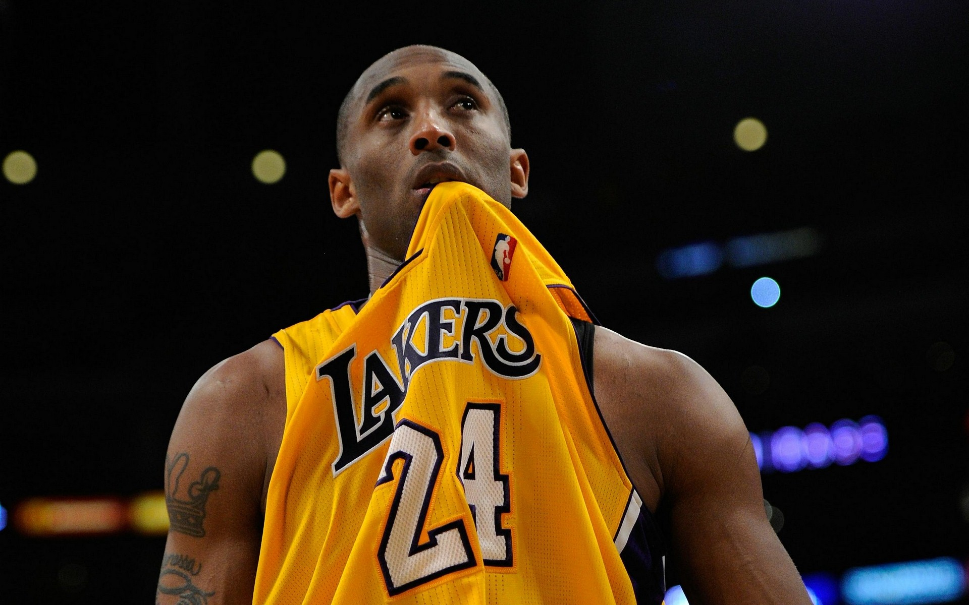 阵营抉择 阵营抉择